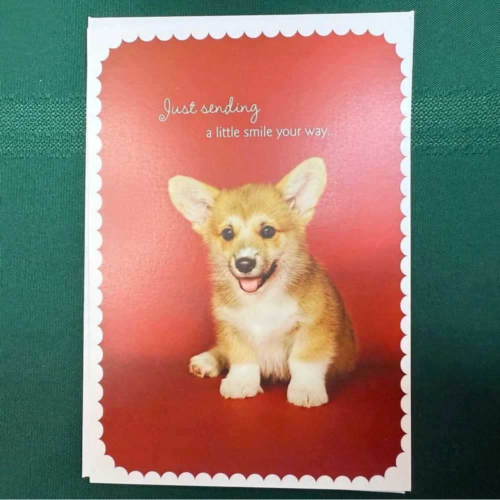 DaySpring 12 Greeting Cards With Envelopes Set #2